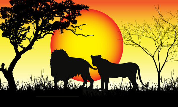 Colorful sunset scene, african landscape with silhouette of trees and lion.