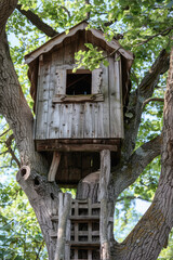 Wooden Treehouse Amidst Verdant Foliage. A cozy wooden tree house nestled in a lush green forest tree.