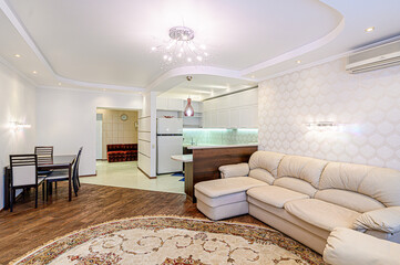 standard interior apartment. living room with sofa