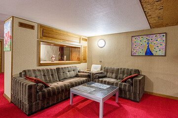 standard interior apartment. living room with sofa