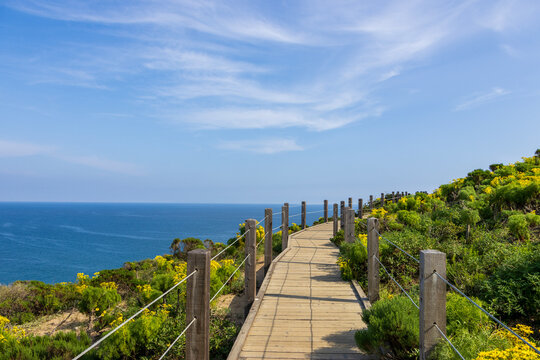 a beautiful spring landscape with a brown wooden footpath along a hillside with yellow flowers and lush green plants, blue ocean water, blue sky and clouds at Point Dume in Malibu California USA