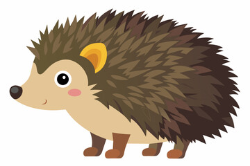 hedgehog isolated on white background