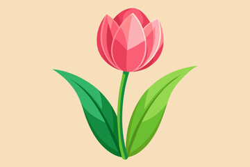 pink tulip with green leaves