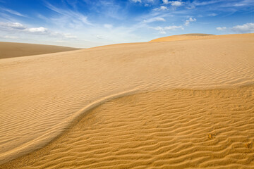 White sand dunes on sunrise, Mui Ne, Vietnam - 765057954