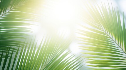 Obraz premium Double exposure of palm branches and sunny shadows on white background for artistic effect