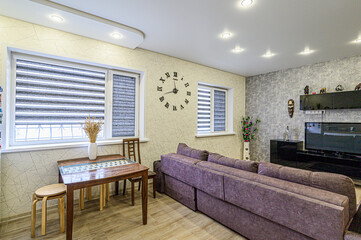 standard interior apartment. living room with sofa