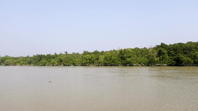 4K footage of Sundarbans.Sundarbans is the biggest natural mangrove forest in the world, located between Bangladesh and India.this photo was taken from Bangladesh