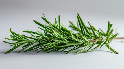 A crisp and detailed image highlighting the slender leaves of a rosemary branch, set against a soft, light grey background for a minimalistic appeal.