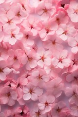 Sakura macro photography