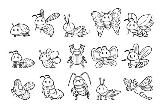 Insect animals element vector outline sketch illustration