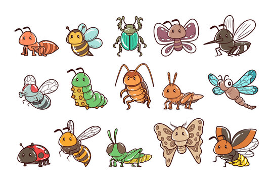 Insect animals element vector illustration