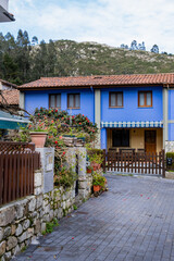 Obraz premium Rural charm, Asturias countryside adorned with vibrant blue houses, stone fences decorative plants.