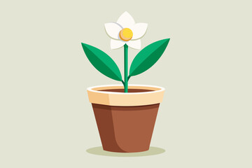   Flower in pot , Real style, white background