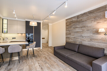 standard interior apartment. living room with sofa