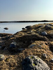 Fototapeta na wymiar 돌이 많은 해안가를 아래에서 바라본 모습