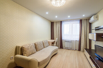 standard interior apartment. living room with sofa