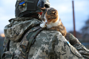 Little stray cat on Ukrainian soldier's shoulder outdoors, closeup - obrazy, fototapety, plakaty