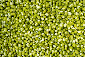 Mung bean seeds for sprouting as background