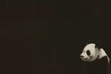 panda de chine, noir et blanc de 3/4, dans l'angle, assis, animal en voie d'extinction à préserver, sur fond noir avec espace négatif copy space © Noble Nature