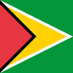Guyana flag - solid flat vector square with sharp corners.