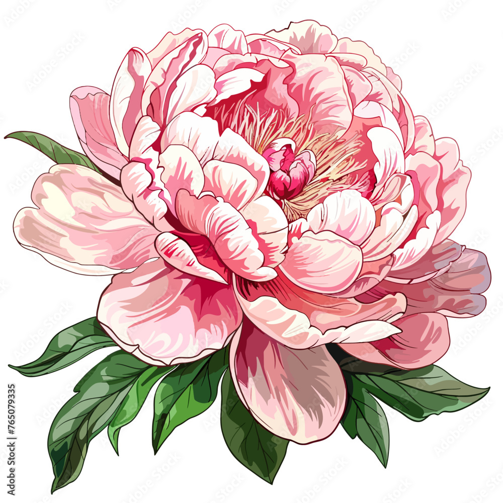 Sticker Peony flowers