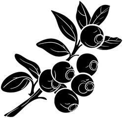 food illustration blueberry silhouette fruit logo leaf icon plant outline organic fresh tree healthy nature berry branch green natural shape garden summer blue for vector graphic background