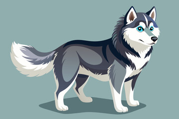 Cute Alaskan Malamute full body,   high detail