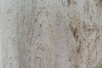 old wood texture, natural wood background.