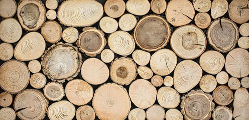 Timber Textures: Intricate Wood Cuts Up Close