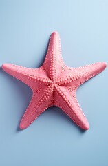 a pink starfish on a blue background