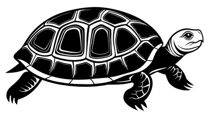 Captivating Turtle Vector Illustration Dive into Stunning Visuals
