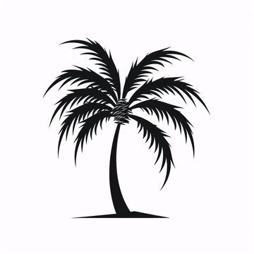 a black palm tree silhouette