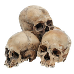 Skulls on white background,png