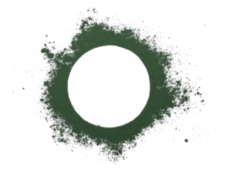 Fototapeten Organic spirulina powder in shape circle isolated on white, top view © dule964