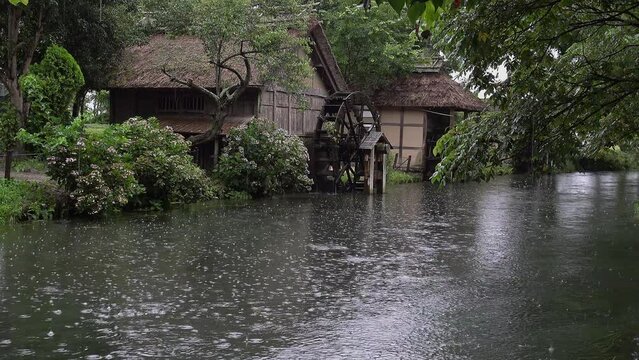 雨が降る中ユックリ流れる川と回る水車と水車小屋、固定撮影、環境音あり