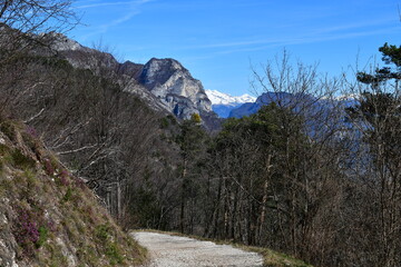 Ein Wanderweg im Trentino 
