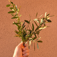 palme benedette di ulivo per la domenica delle palme prima della pasqua su sfondo rosso e arancio....