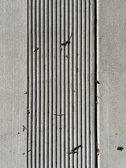 Segment of a concrete sidewalk