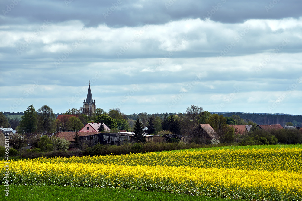 Canvas Prints rapeseed fields, country houses and church bell tower during spring