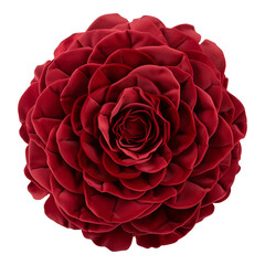 A red flower with a velvet texture. The flower is the main focus of the image and it is surrounded by a white background. The flower is the most prominent element in the image