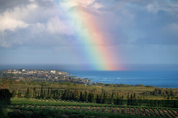 Hawaiian Rainbow over Poipu, Kauai. The view from a coffee plantation in Kalaheo of a beautiful colorful rainbow over the popular tourist area of Poipu and the Pacific Ocean.