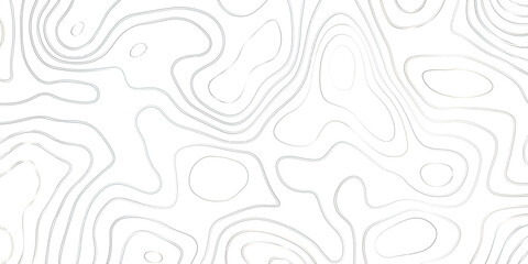Fototapeta na wymiar abstract pattern with lines. background of the topographic map. elevation contouring outline cartography texture. geographic abstract grid. futuristic wireframe landscape background