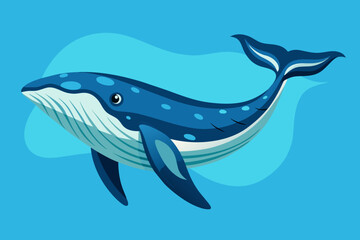 whale 