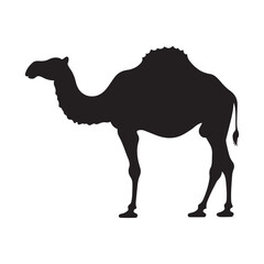 black silhouette of a Camel with thick outline side view isolated