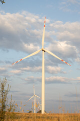 Renewable energy windmills on the field wiatraki na tle polskiego pola  © MR. Stanek