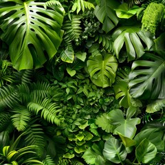 a close up of a bunch of plants with green leaves on the top and bottom of the leaves on the bottom of the picture.