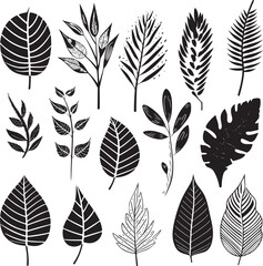 Various type of tropical leaves abstract black line Minimalist Outline style on white background