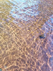 Crystal-clear water of Sånghussjön lake, Sweden