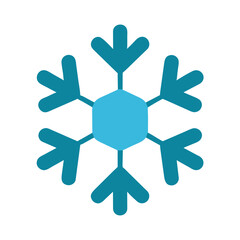 Snowflake icon on a Transparent Background