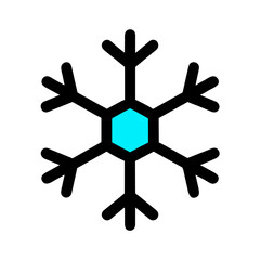 Snowflake vector icon illustration on a Transparent Background